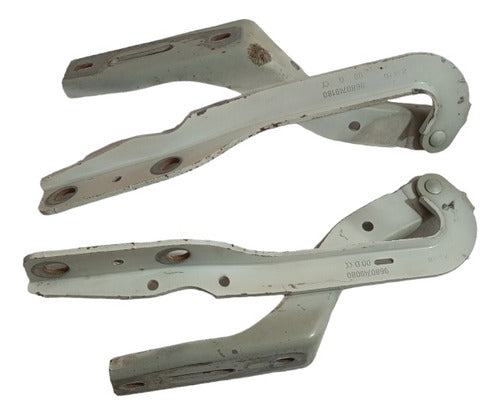 Par Dobradiça Capô Peugeot 307 2008 A 2012 9680749180 Origin