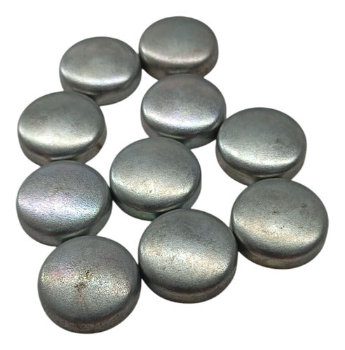 Selo 10unid Do Bloco Motor 20mm Uno Doblo Orig Fiat 14328701