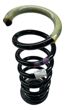 Mola Suspensão Traseira Argo Trekk 18 A 22 52138404 Original