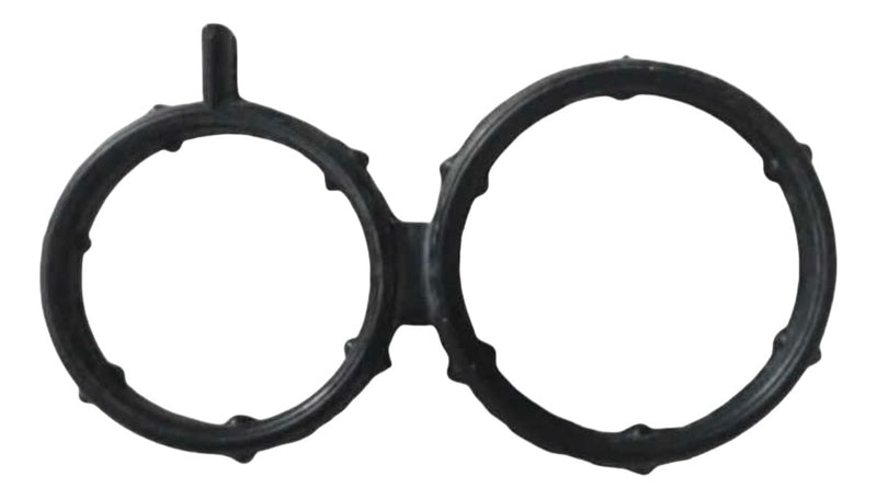 Anel Vedação Permutador Calor Toro 2.0 Original 55252555
