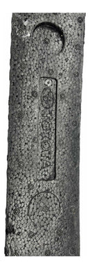 Absorvedor Para Choque Diant Corolla 15/2019 5261102340 Orig
