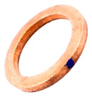 Anel Vedação Tubo Direção Hidráulica Fiat 22x16 Mm 4430346