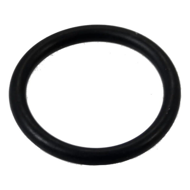 Anel Vedação Sensor Velocidade Ducato 1903065134